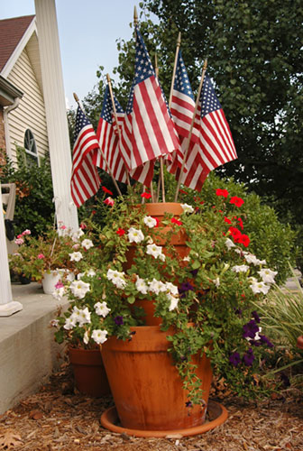 4th-of-July-flowers