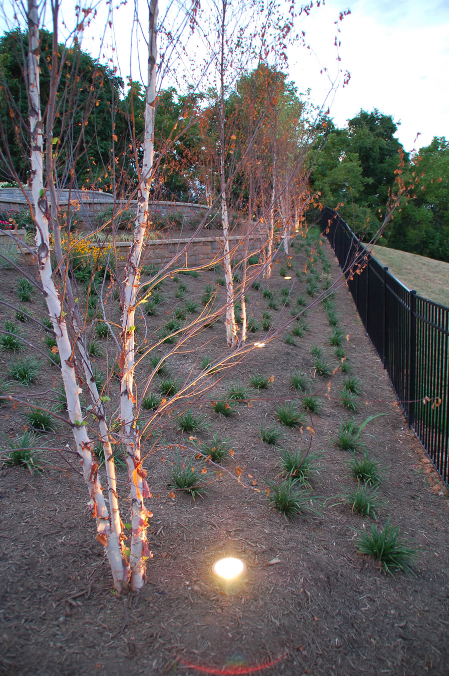 Outdoor Lighting by BR Design Build